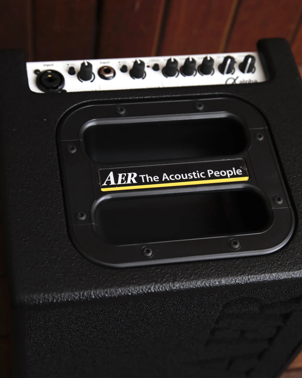 AER Alpha 40 Watt Acoustic Guitar Amplifier - Image 4