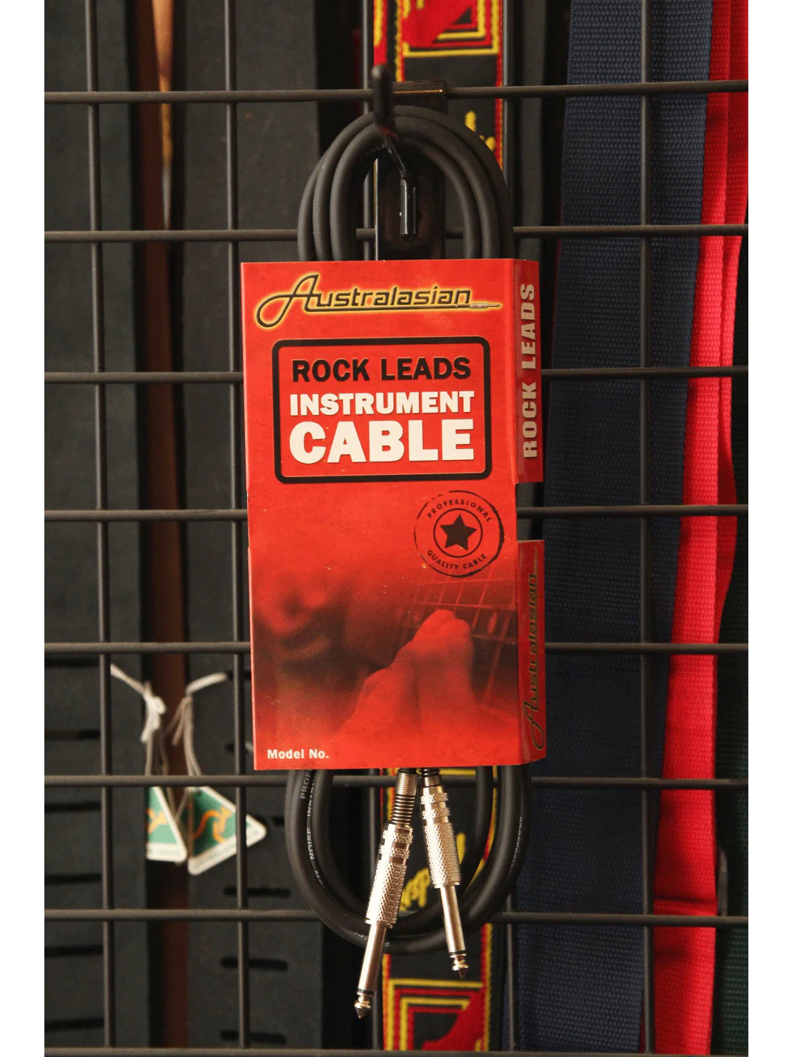 AMS Instrument Cable 10ft RC10