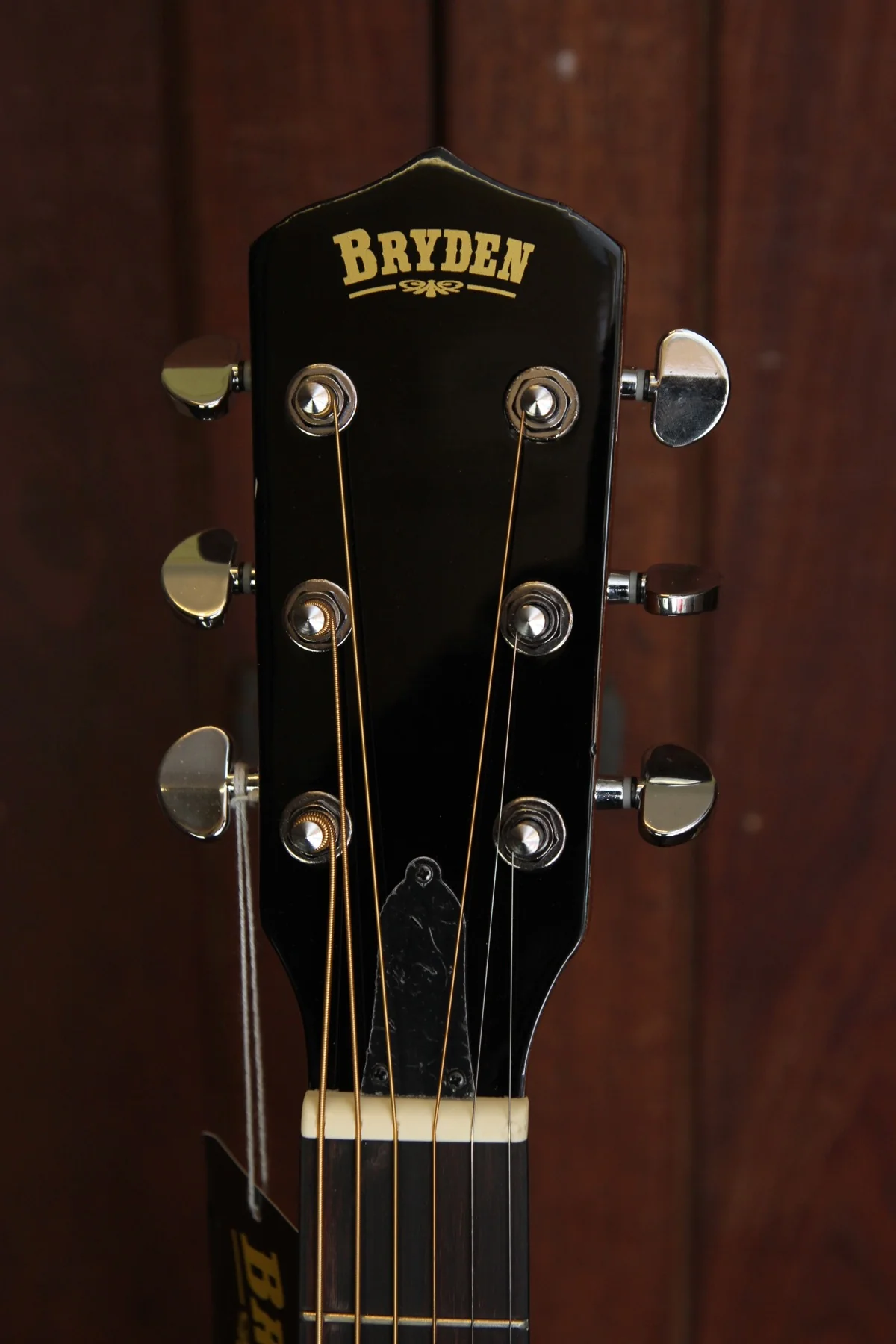 Bryden 6-string Guitar Banjo - Image 3