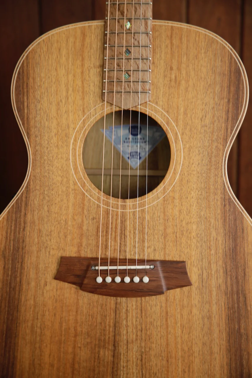 Cole Clark AN2E Blackwood/Blackwood Acoustic-Electric - Image 3