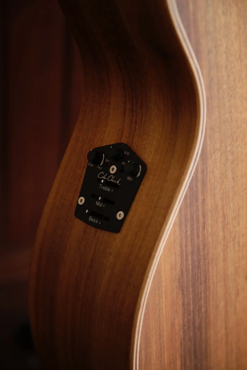 Cole Clark AN2E Blackwood/Blackwood Acoustic-Electric - Image 4