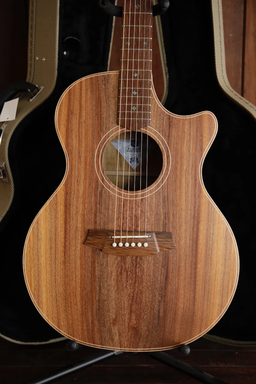 Cole Clark AN2EC-BLBL Blackwood/Blackwood Acoustic-Electric