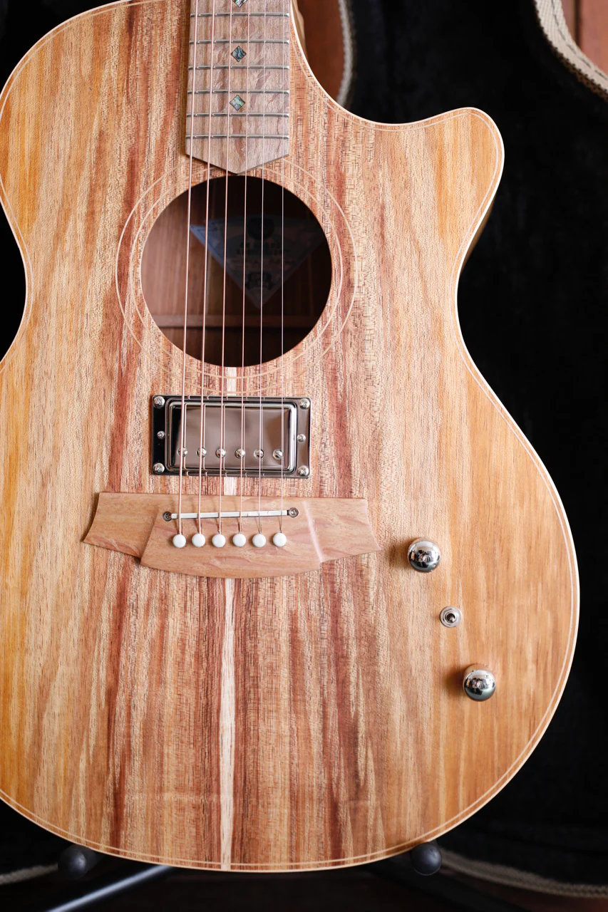 Cole Clark AN2EC Blackwood/Blackwood Humbucker Dual-Output Guitar - Image 4