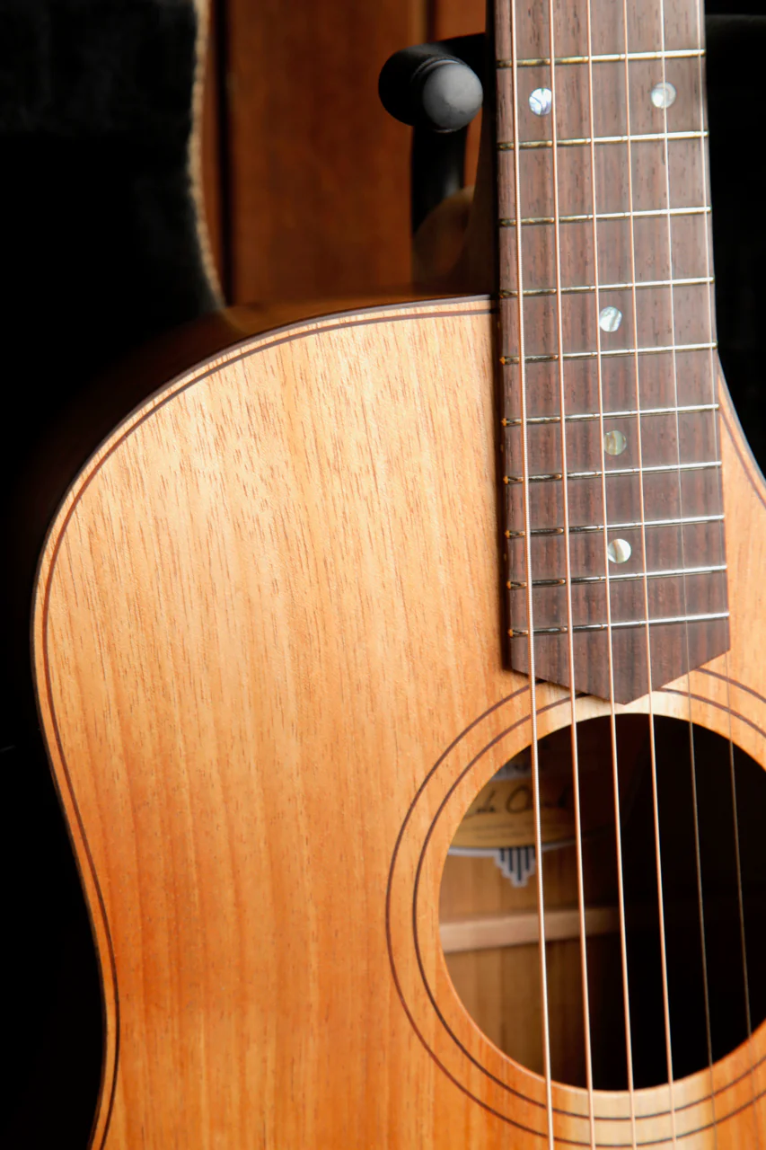 Cole Clark FL2EC Blackwood / Blackwood Acoustic-Electric Guitar - Image 5