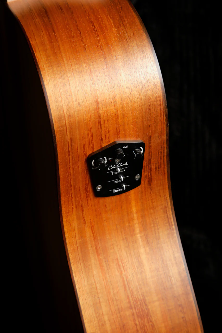 Cole Clark FL2EC Blackwood / Blackwood Acoustic-Electric Guitar - Image 8
