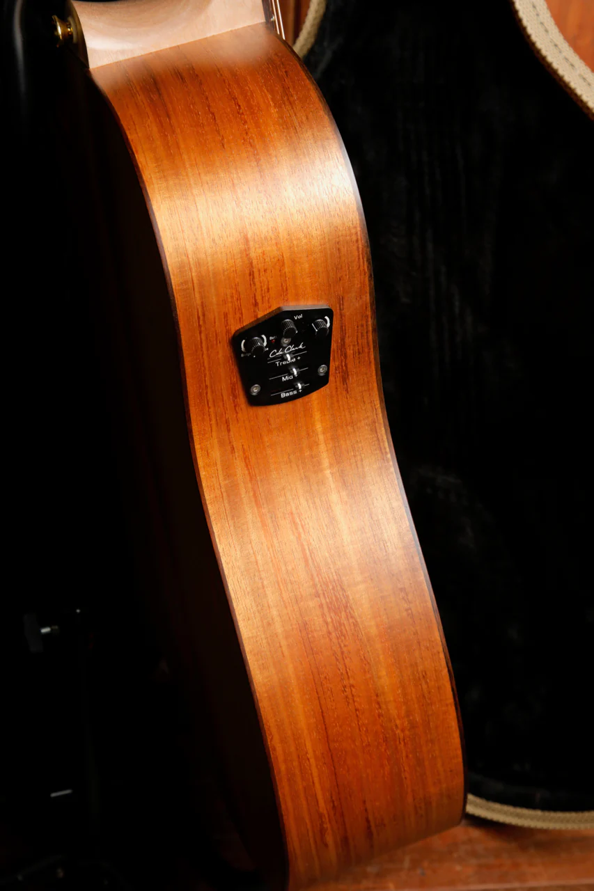 Cole Clark FL2EC Blackwood / Blackwood Acoustic-Electric Guitar - Image 9
