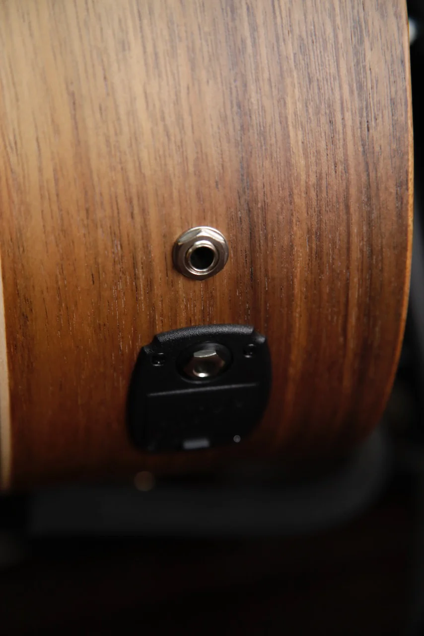 Cole Clark FL2EC Blackwood/Blackwood Humbucker Dual-Output Guitar - Image 6
