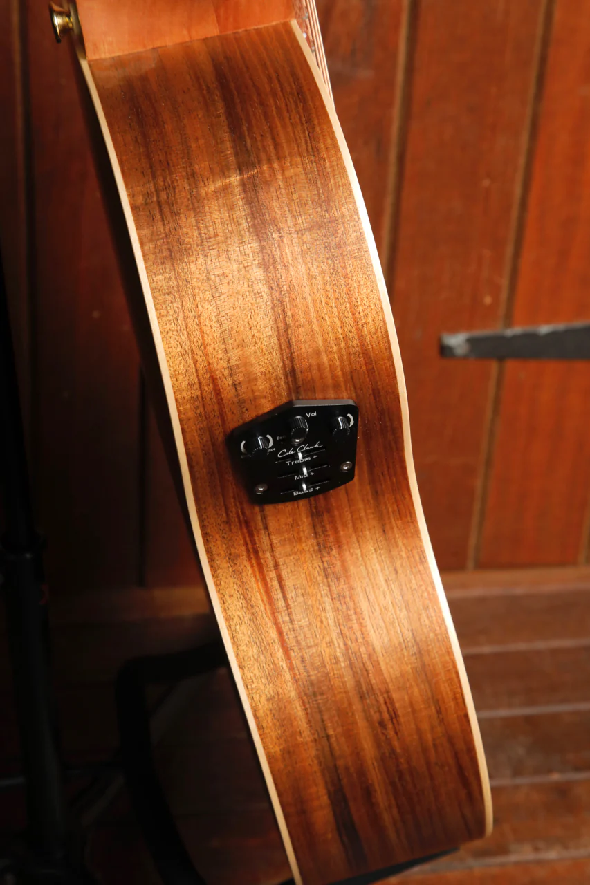 Cole Clark LL2E-BLBL Blackwood Acoustic-Electric Guitar - Image 8