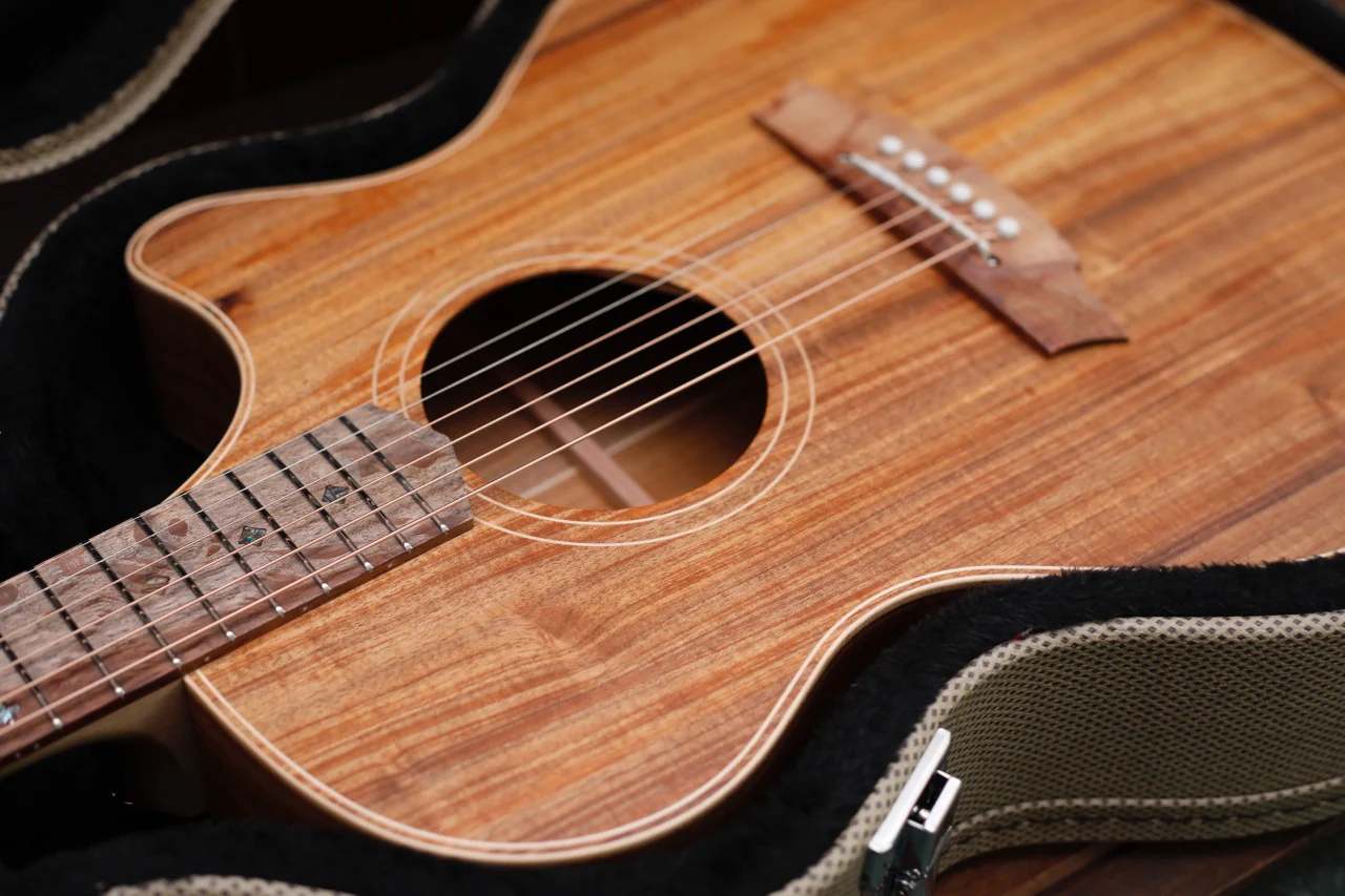 Cole Clark TL2EC All Blackwood Thinline Cutaway Acoustic-Electric Guitar - Image 12