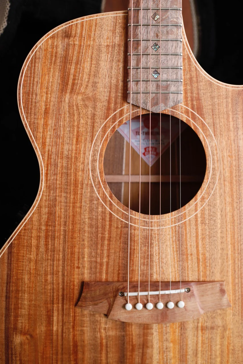 Cole Clark TL2EC All Blackwood Thinline Cutaway Acoustic-Electric Guitar - Image 3