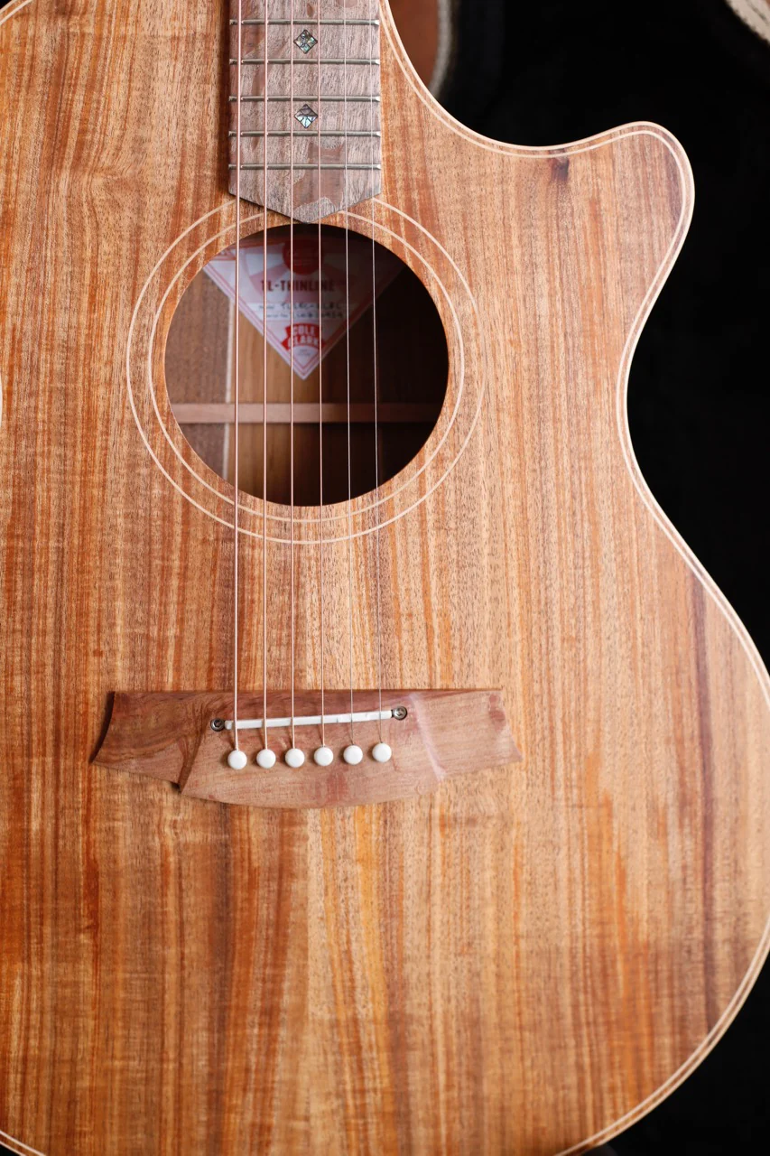 Cole Clark TL2EC All Blackwood Thinline Cutaway Acoustic-Electric Guitar - Image 4