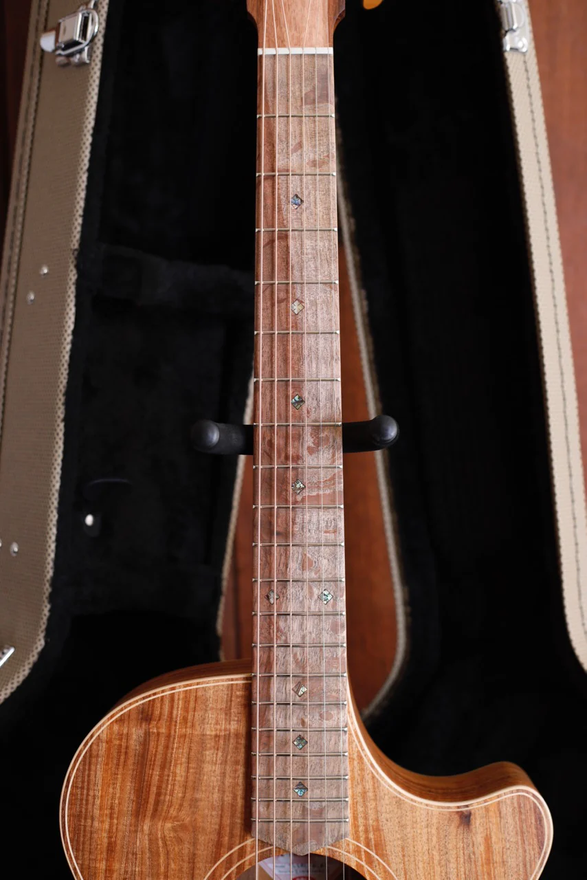 Cole Clark TL2EC All Blackwood Thinline Cutaway Acoustic-Electric Guitar - Image 5