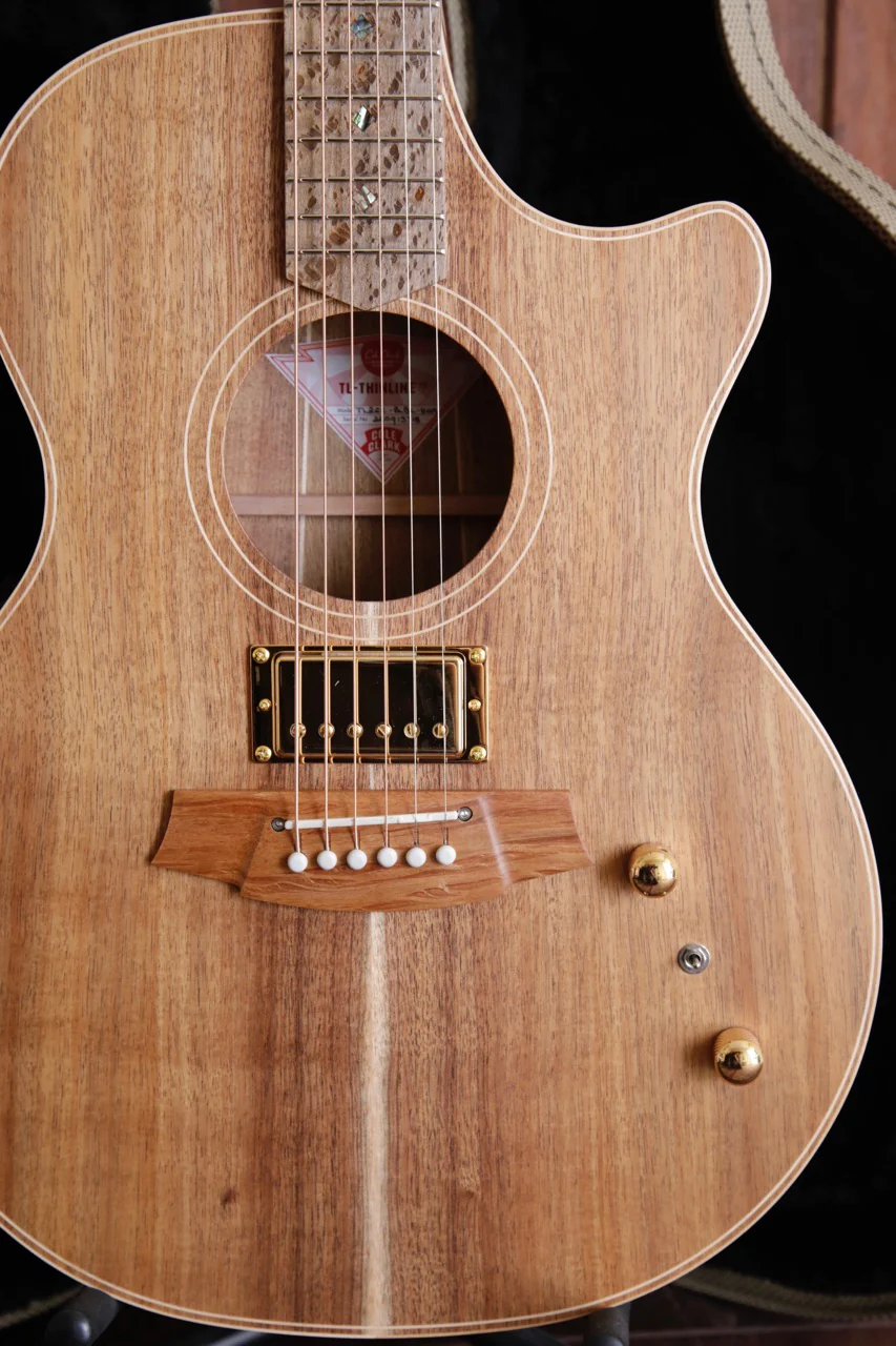 Cole Clark TL2EC Humbucker Blackwood/Blackwood Thinline Acoustic-Electric Guitar - Image 3