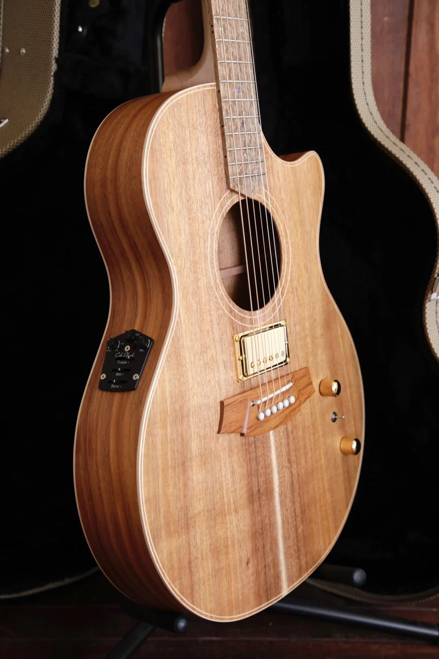 Cole Clark TL2EC Humbucker Blackwood/Blackwood Thinline Acoustic-Electric Guitar - Image 6