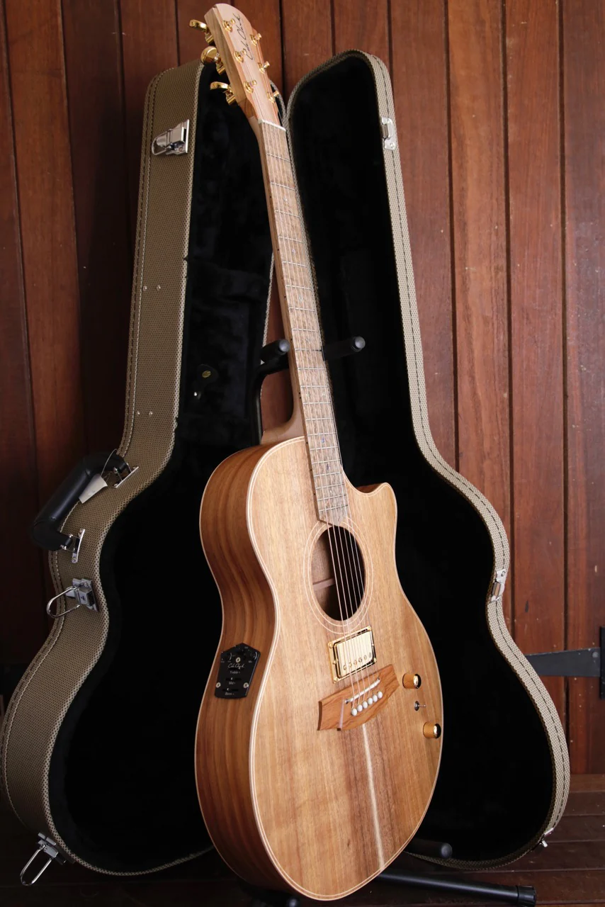 Cole Clark TL2EC Humbucker Blackwood/Blackwood Thinline Acoustic-Electric Guitar - Image 7