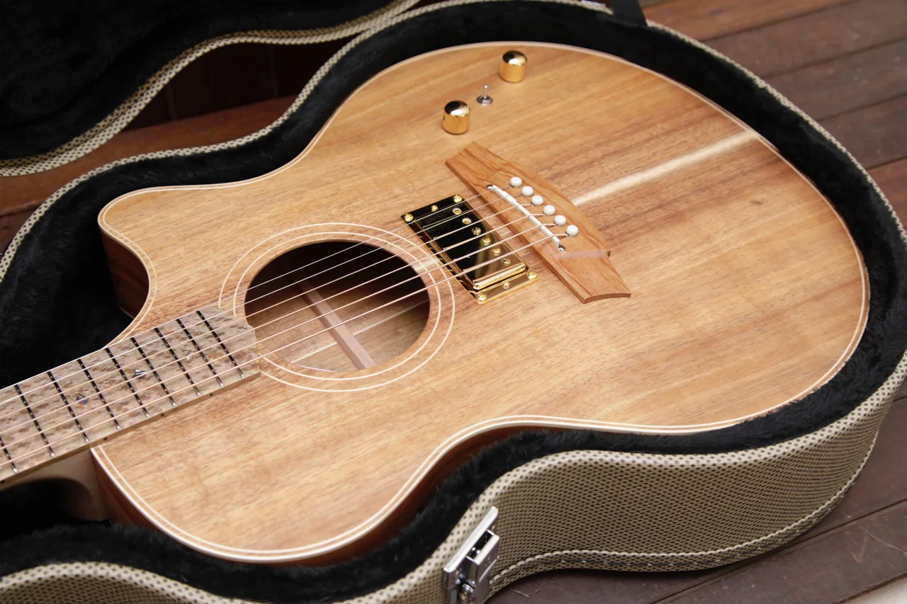 Cole Clark TL2EC Humbucker Blackwood/Blackwood Thinline Acoustic-Electric Guitar - Image 9