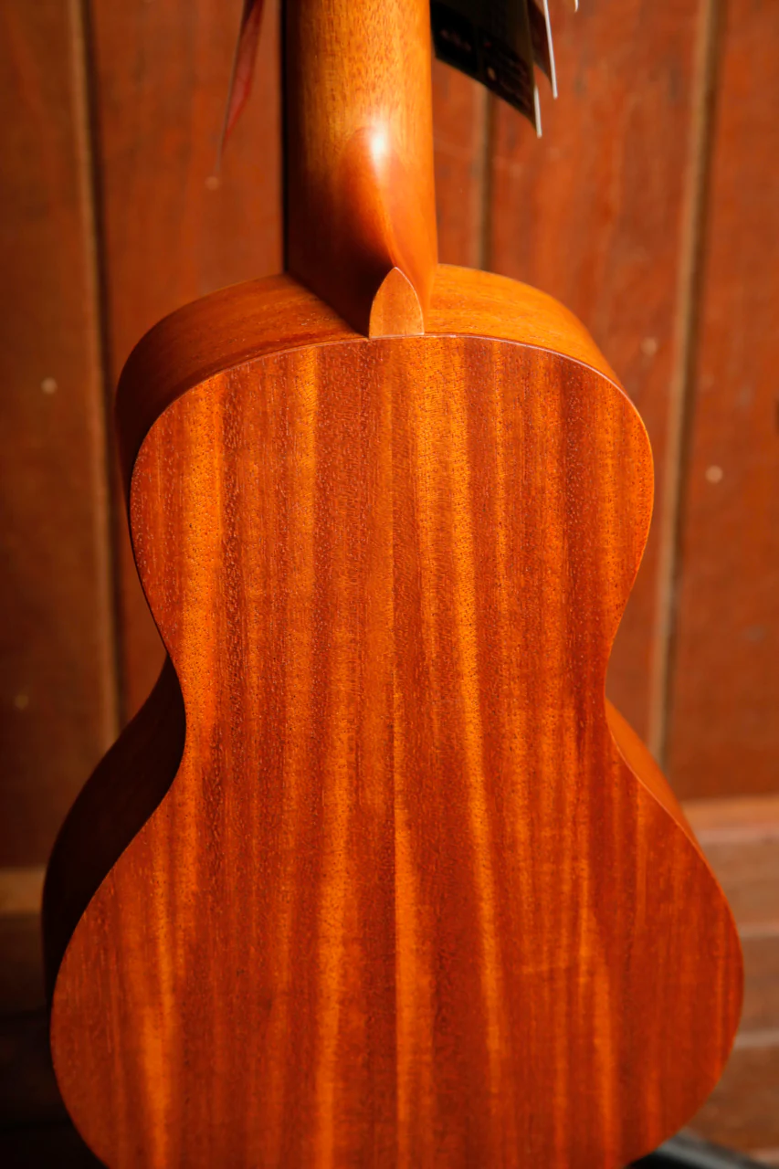 Kala KA-DS-EY-BA-C Desert Storylines Evelyn Young Concert Ukulele - Image 12