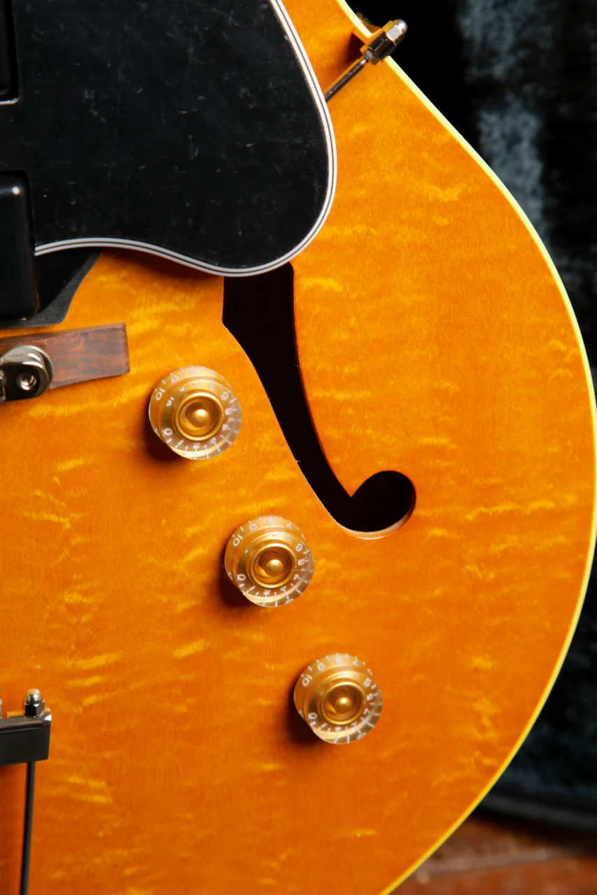 King Snake Three Bone Hollowbody Electric Guitar - Image 7