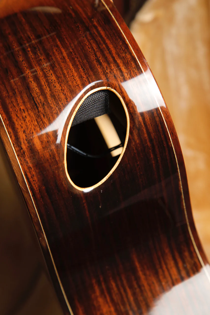 Maestro Custom Series Raffles IR Acoustic-Electric Guitar Pre-Owned - Image 9
