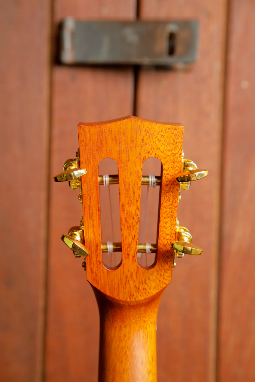 Mahalo MJ3tbr Java Series Tenor Ukulele - Image 11