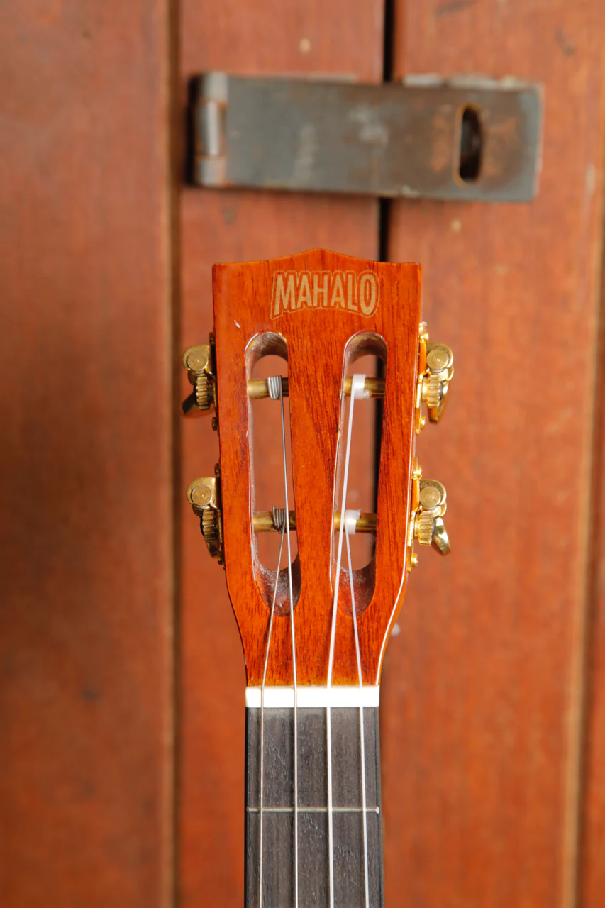 Mahalo MJ4vna Java Series Baritone Ukulele - Image 3