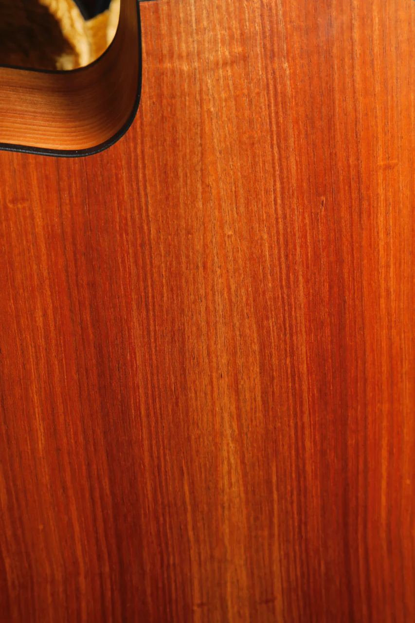 Maton EBW70C Blackwood Dreadnought Acoustic-Electric Guitar - Image 17