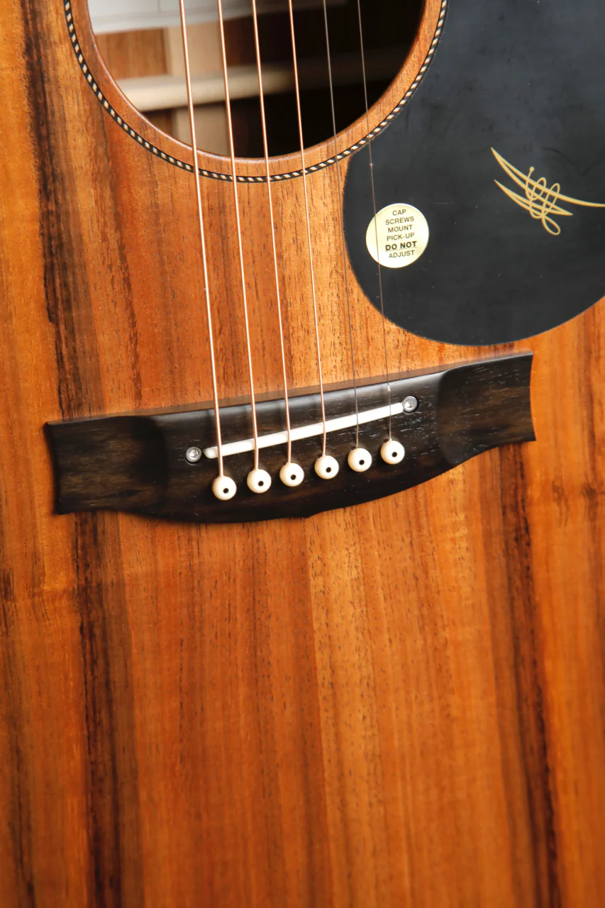 Maton EBW70C Blackwood Dreadnought Acoustic-Electric Guitar - Image 6