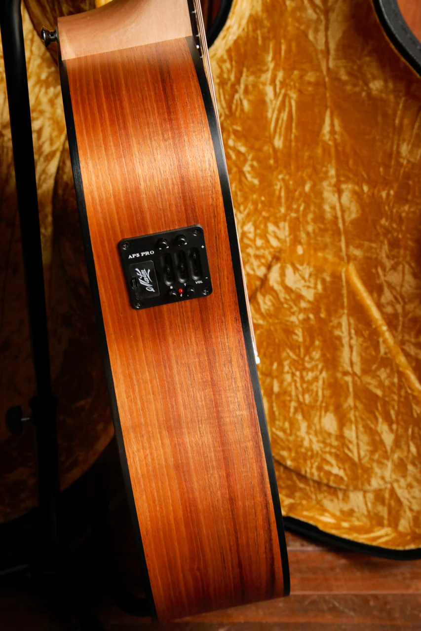 Maton EBW70C Blackwood Dreadnought Acoustic-Electric Guitar - Image 9