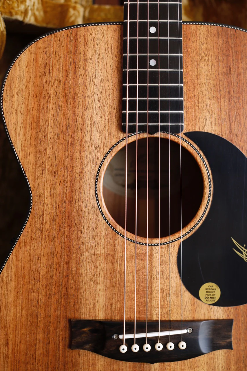 Maton EBW808 Blackwood Acoustic-Electric Guitar - Image 3