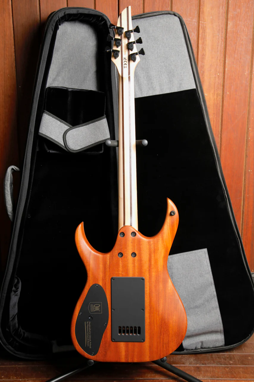 Mayones Duvell 6 Elite Transparent Graphite Satin Electric Guitar 2022 Pre-Owned - Image 16