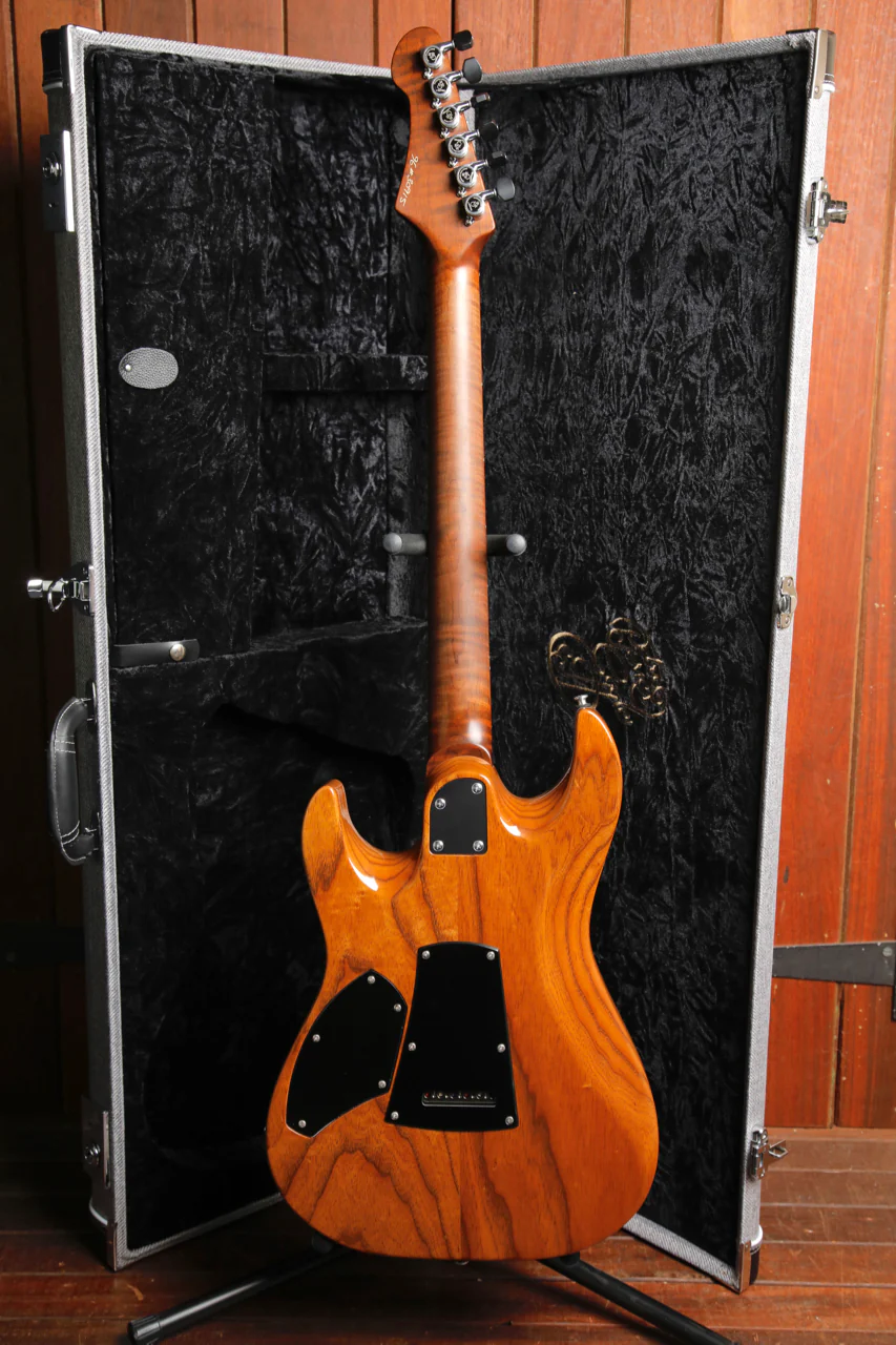 Patrick James Eggle 96 Drop Top Electric Guitar - Image 14
