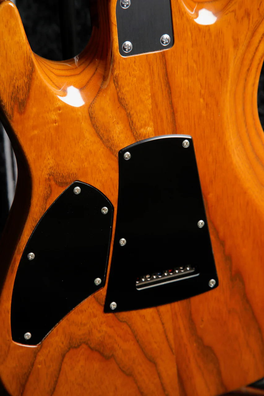 Patrick James Eggle 96 Drop Top Electric Guitar - Image 18