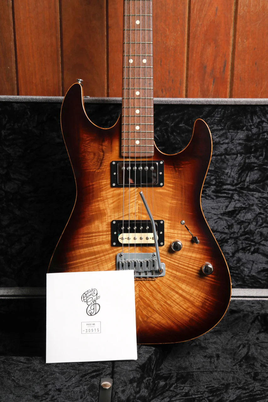 Patrick James Eggle 96 Drop Top Electric Guitar - Image 19