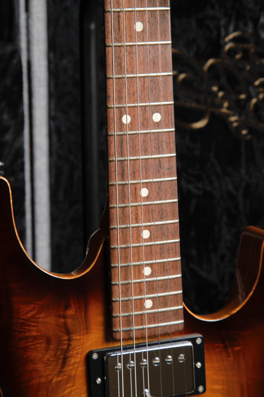 Patrick James Eggle 96 Drop Top Electric Guitar - Image 5