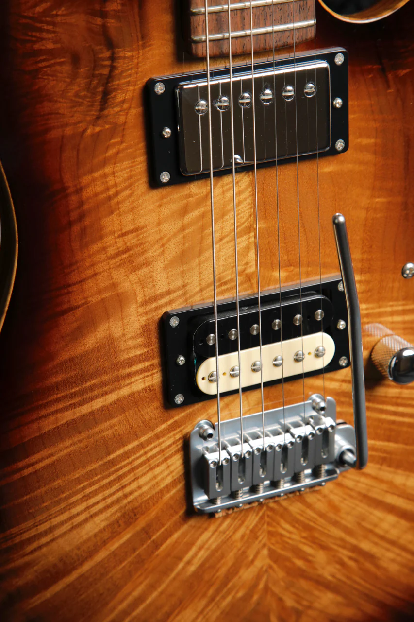 Patrick James Eggle 96 Drop Top Electric Guitar - Image 6