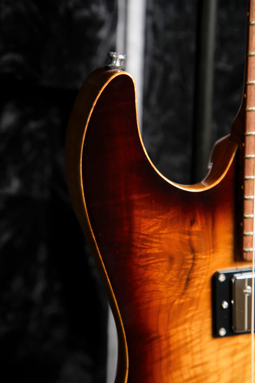 Patrick James Eggle 96 Drop Top Electric Guitar - Image 8