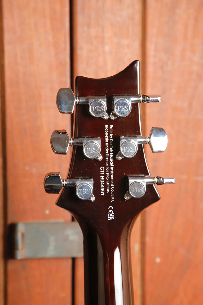 PRS Paul Reed Smith SE DGT Moons Gold Top Electric Guitar - Image 12