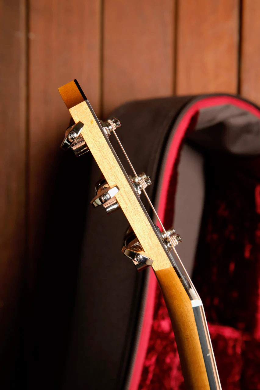 Taylor 214ce Plus Grand Auditorium Acoustic-Electric Guitar - Image 10