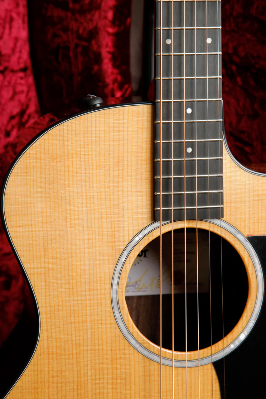 Taylor 214ce Plus Grand Auditorium Acoustic-Electric Guitar - Image 5