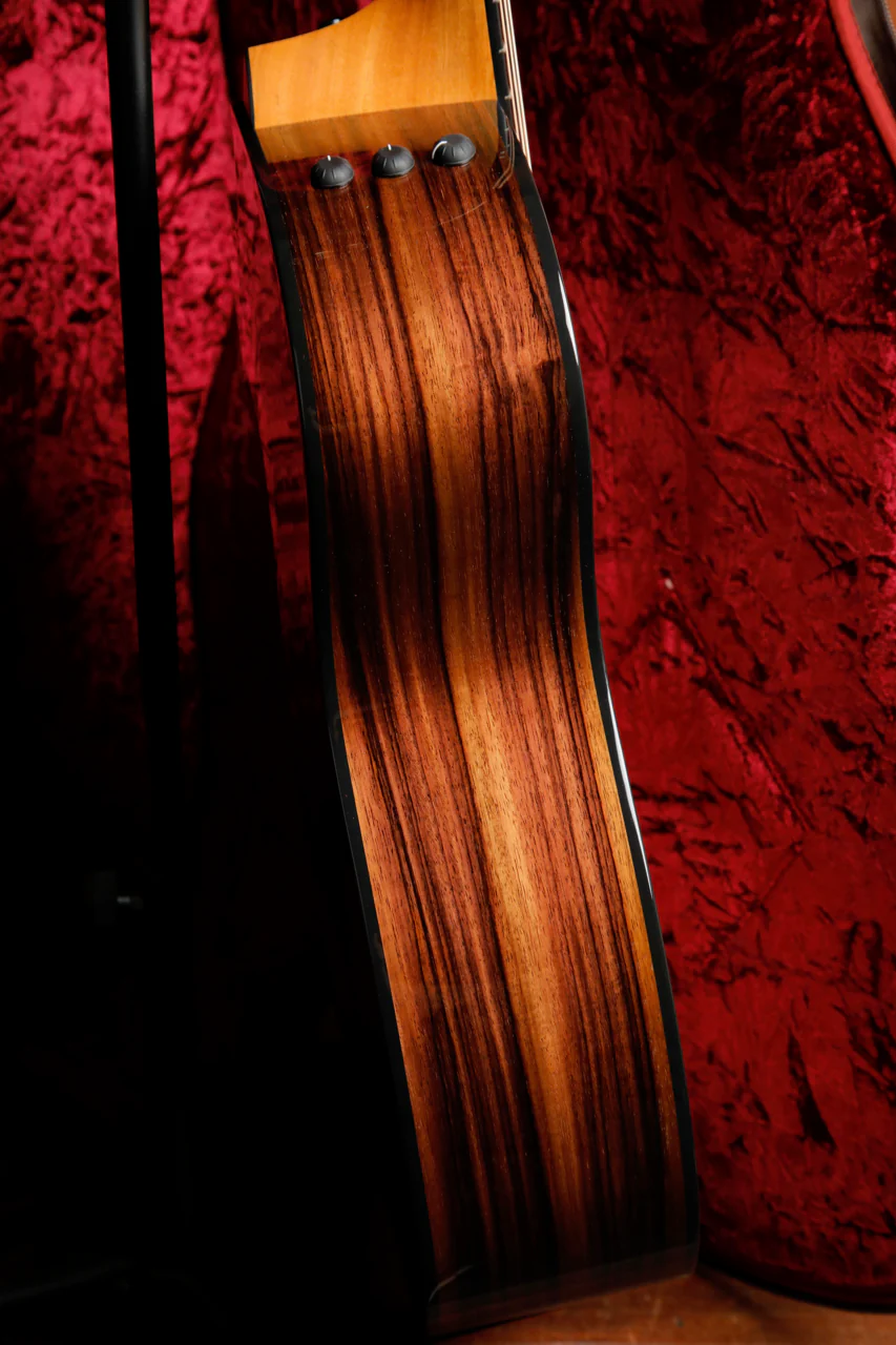 Taylor 214ce Plus Grand Auditorium Acoustic-Electric Guitar - Image 8