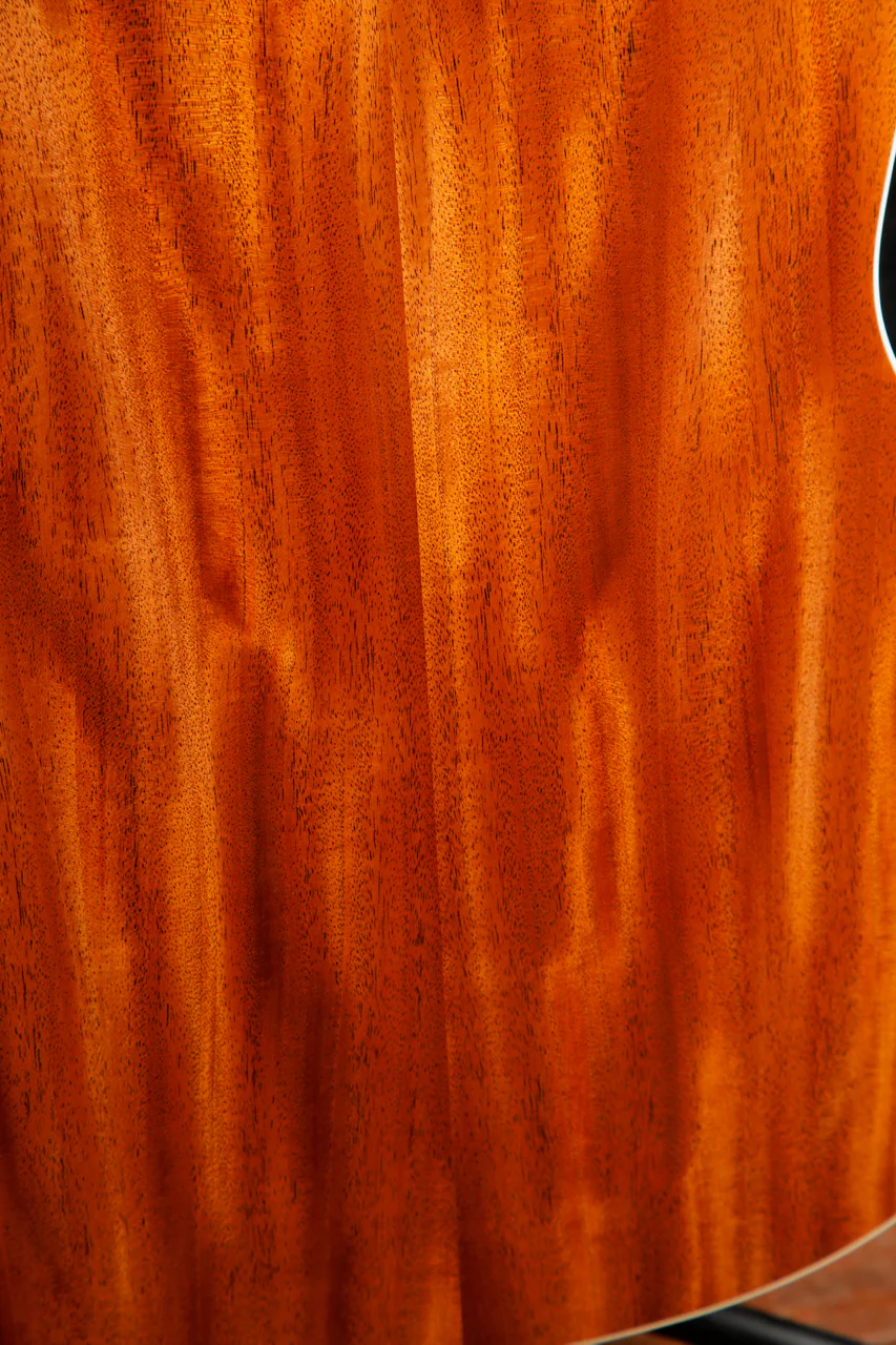 Taylor Gold Label 517e Blacktop Spruce / Mahogany Acoustic-Electric Guitar - Image 19
