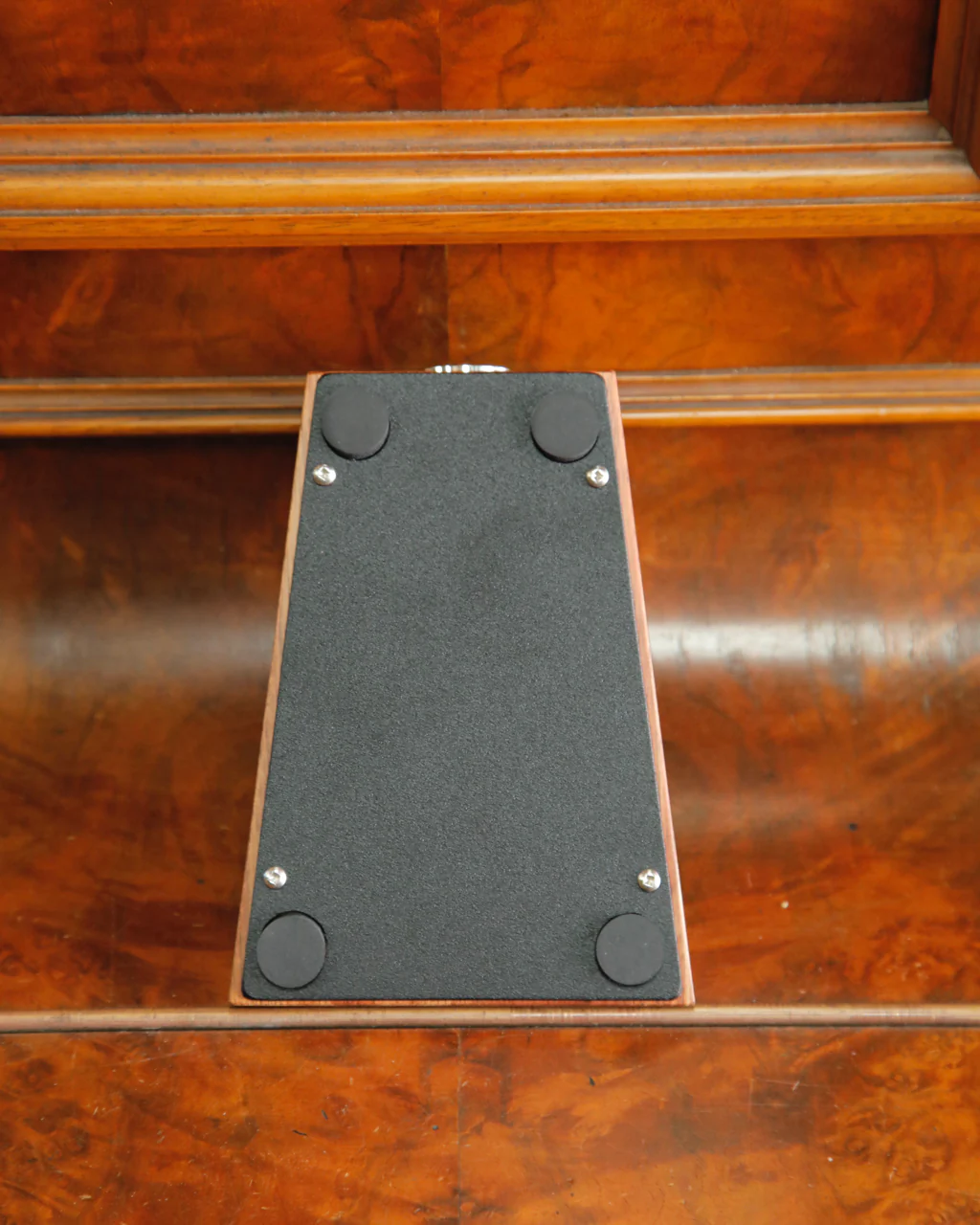 Wild Dog Tassie Devil Solid Timber Series Compact Stompbox - Image 2