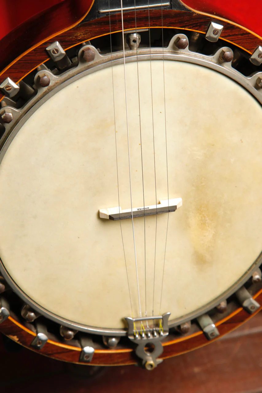 Windsor Ariste Model 4 Zither Banjo Circa 1910s Made in UK Pre-Owned - Image 6